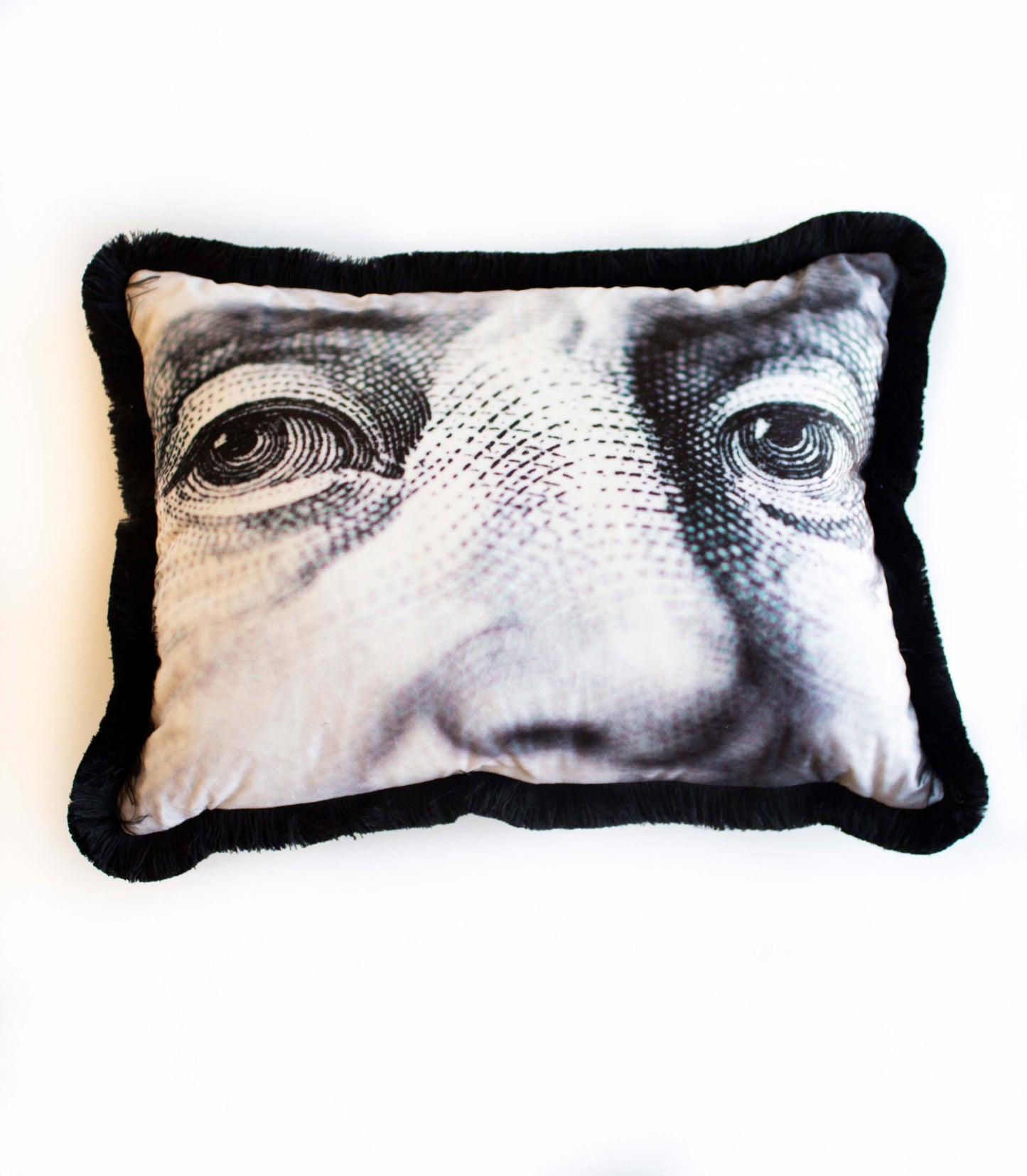 Benjamin Franklin Yastık - KIRLENT K277