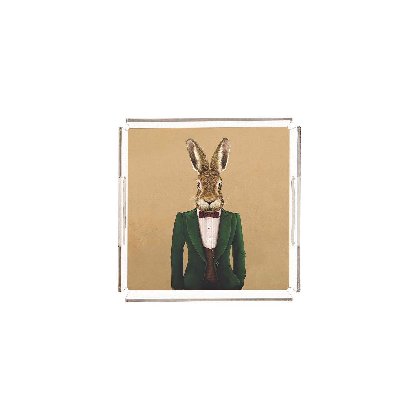 Mr. Rabbit Pleksi Tepsi PT103