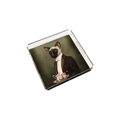 Mr. Cat Pleksi Tepsi PT104