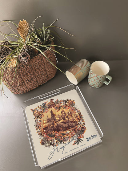 Hogwarts Pleksi Tepsi - 25X25CM | Pufaloji