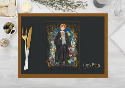 HP Characters Kumaş Amerikan Servis 4'lü Set 35X50CM | Pufaloji