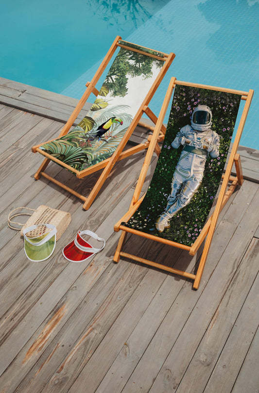 Papağan Katlanabilir Şezlong - Şezlong SZ113