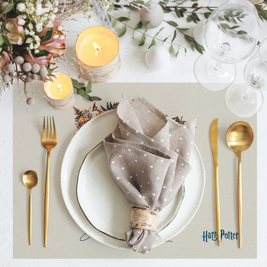 Hogwarts Kumaş Amerikan Servis 4'lü Set 35X50CM | Pufaloji